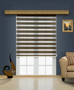 Load image into Gallery viewer, bathroom  curtain  day and nigt  double layer  dual layer  home  horizontal  kitchen  light filter sheer shades  office  polyester  privacy light control  roller  shades  stor  window  window Treatments  windows drapes  zebra  blinds  dual  blind  dual blind  roller shades  window roller blinds  window roller shades  zebra roller blinds
